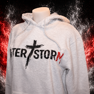 Sweat Afterstorm Basic Gris Homme – Image 2